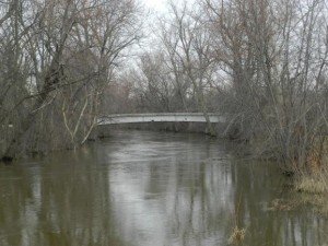 fish sparty 041513 004