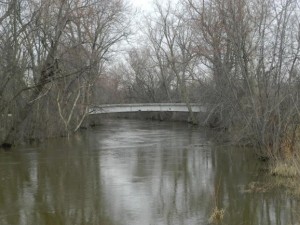 fish sparty 041513 004